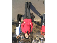 ����������� 061