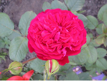 ���������� - ���������!!.JPG