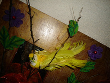 DSC02812.JPG