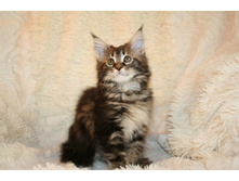 ����������� 248.jpg