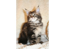 ����������� 249.jpg