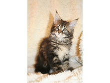 ����������� 251.jpg