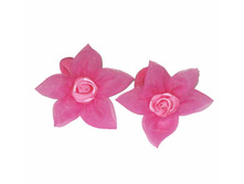 19     ���.jpg