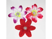 50 ��� �������-�����.jpg