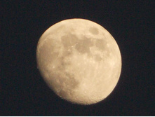 DSCN0767.JPG