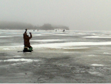 ���� ����� �������