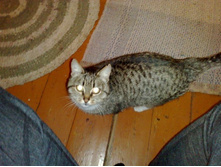 �������� ����������� � ����� ������ ������� )