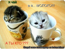 � ��� � � ������.jpg