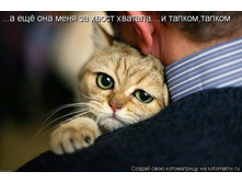 � ��� ��� ���� �� ����� �������.jpg