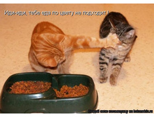 ��� �� ����� �� ��������.jpg