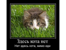 ����� ���� ���.jpg