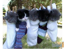 ��� � ������.jpg