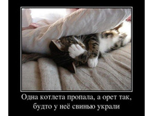 ������� ��������.jpg