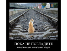 ����� �� �����.jpg