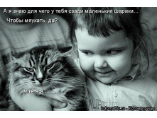 ��������� ������.jpg