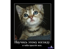 ������� ����� �������.jpg