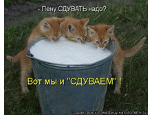 ���� ������� ����.jpg