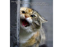 ����� ���� �������.jpg