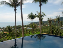 ������� ����� ����