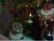 ��� ��������� :)))