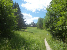 ������� ��������� ������ ������