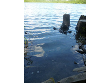 ������������ ���� ������ ����� � ����� ������