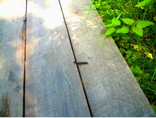 ������� �������