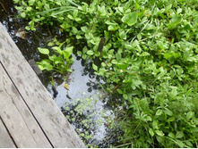 ���������� ������ ����� ������������ ���������� �� ����� �����