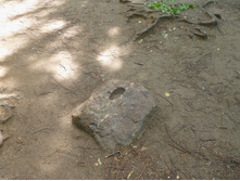 «���� ����������»