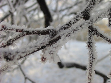 �������� ������������� ���������� :)