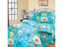 ������� ����.jpg