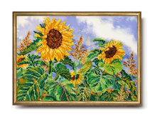 ������� ������ �-247 ���� 1170+%