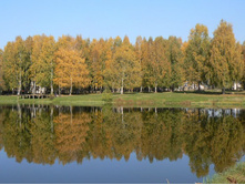 ����� ��������