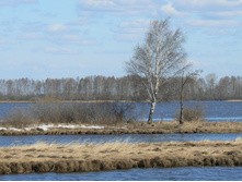 ����� � ����������� �������