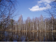 �������� ������