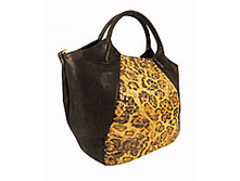 19311_2264 ���