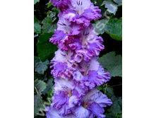 ����� ���-484-04-�, ������������, ���, 22-8, 130 ��.jpg