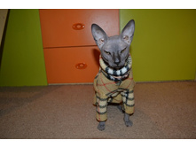 DSC_0043 �����.jpg