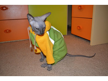 DSC_0051 �����.jpg