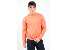 w33-2047-r54-������ 704.jpg