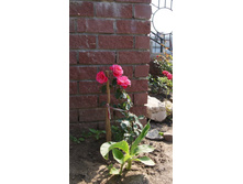 ��������� ����.jpg