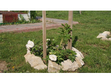 �������� �������� �����.jpg