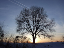 DSCF8155_����� ������.JPG