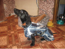 IMG_1090.JPG