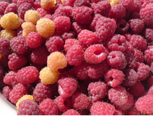 ��������� ���������