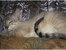 � � ��� ���� ����� ����!