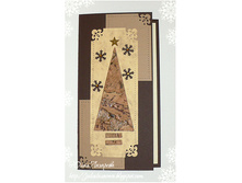 ��������� ����