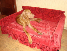 ��� �� ������2.JPG