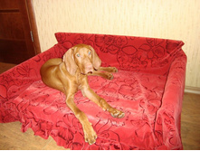 ��� �� ������3.JPG