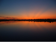 �����, ���������